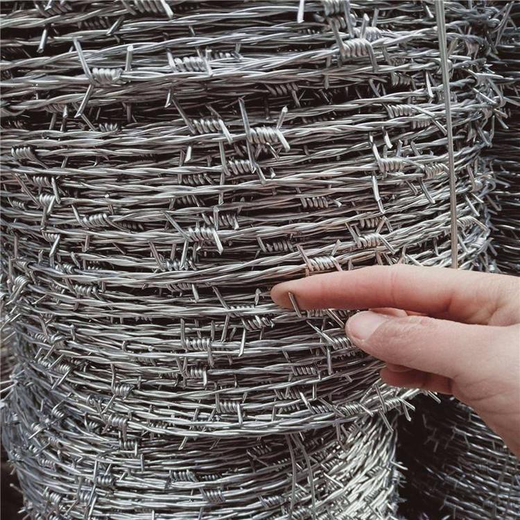 barbed wire (1)