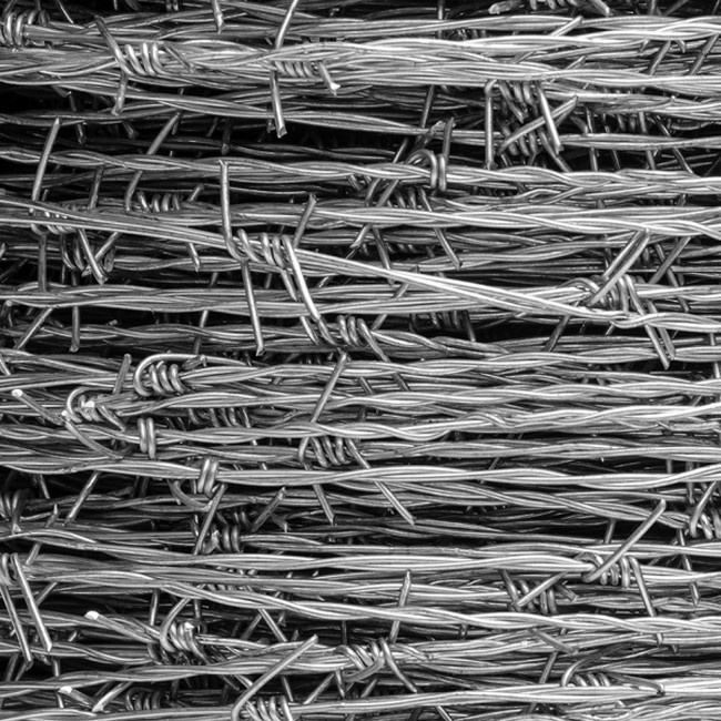 barbed wire (16)